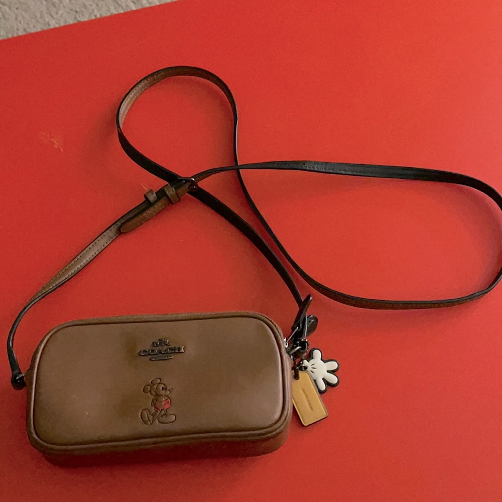 Coach and Mickey Mouse